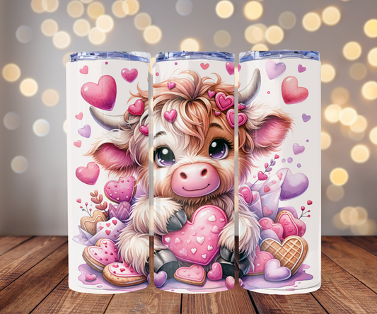 Highland Cow with Valentine's Cookie